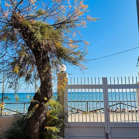 Casa Patrizia A 10 Metri Dalla *